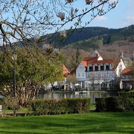 Bungalow Am Eichholz - #126509 Ilsenburg (Harz)